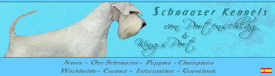 www.schnauzer-ar.com